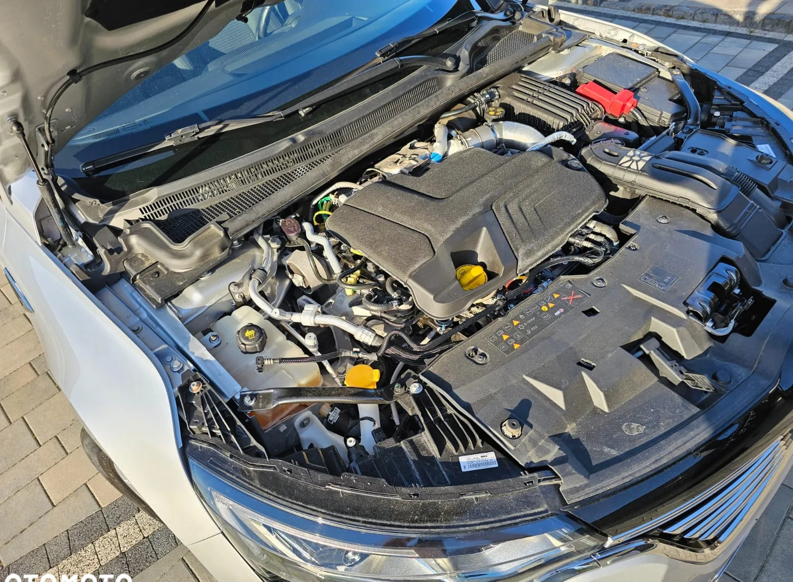 Renault Talisman cena 69900 przebieg: 152000, rok produkcji 2020 z Trzebnica małe 742